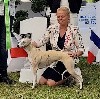 - TOP DOG 2022 Pour Reine de Coeur