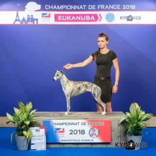 des Jardins de Becky - Championnat de France 2018 Le Bourget
