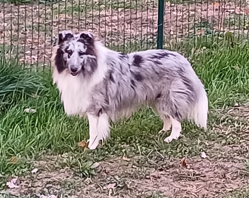 Vino des Jardins de Becky