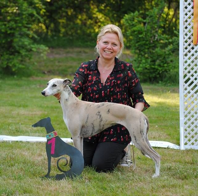 Nationale d'Elevage 2018 Whippet